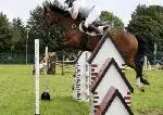 showjumping 2