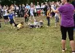 tug of war 2017